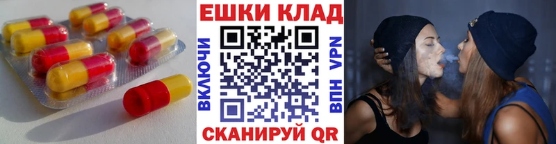 Ecstasy Philipp Plein  Купить где  Сибай 