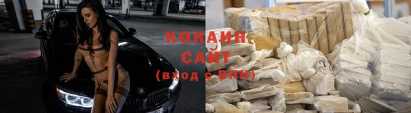 МДПВ Новозыбков