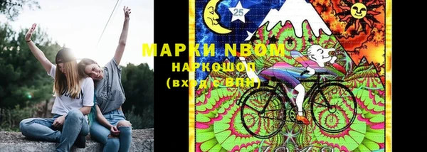 МДПВ Новозыбков