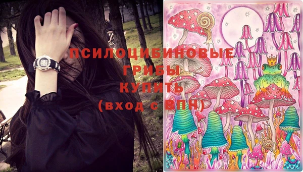 МДПВ Новозыбков
