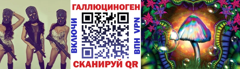 Купить  Сибай  Галлюциногенные грибы Psilocybe 