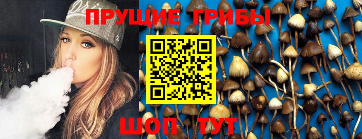 Сибай  Галлюциногенные грибы MAGIC MUSHROOMS  Галлюциногенные грибы ЛСД  Вход с VPN 