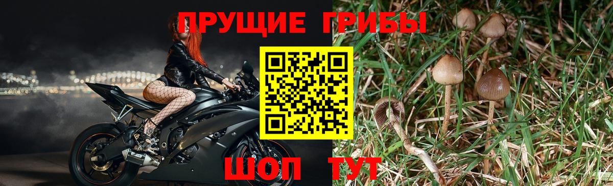 ГАШИШ Сибай