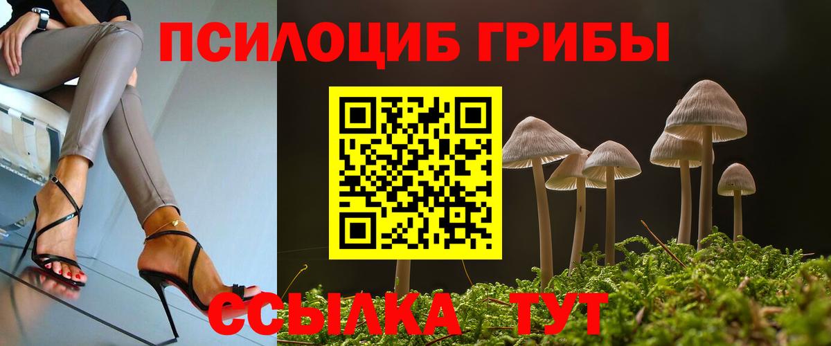 Псилоцибиновые грибы мицелий  Галлюциногенные грибы прущие грибы  Сибай  Вход с VPN 